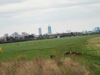 Photo 1 de Stammersdorf