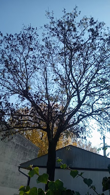 Photo 2 de Stammersdorf