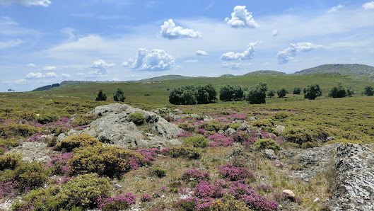 Photo 1 de Serra da Freita