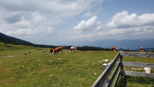 Photo 2 de Villacher Alpenstrasse