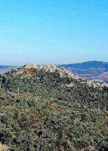 Photo 2 de Misanello
