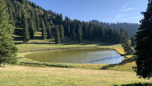 Photo 2 de Lac de Conche