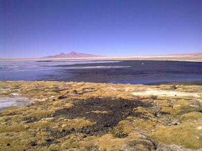 Photo 1 de Laguna de Huasco