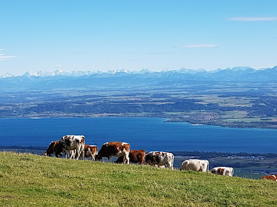 Photo 2 de Mauborget