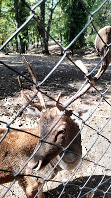 Photo 1 de Monte Croccia