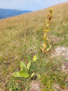 Photo 2 de Col de Boenlesgrab
