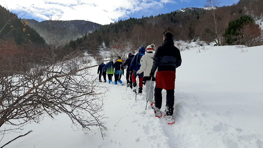 Photo 2 de Obaga de Xerpell