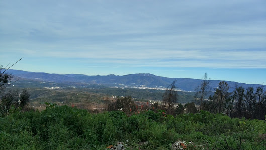 Photo 1 de Senhor da Serra