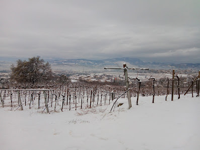 Photo 2 de Montericcò