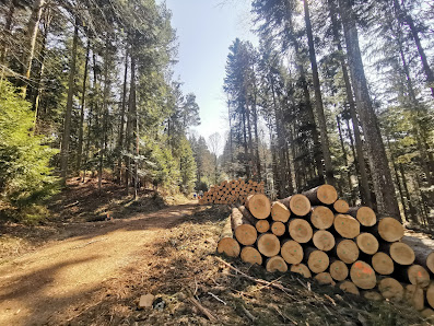 Photo 1 de Niederteufen