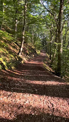 Photo 1 de Cinque Faggi