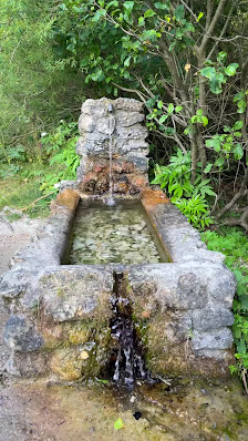 Photo 3 de Cinque Faggi