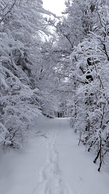 Photo 1 de Col de Bramont