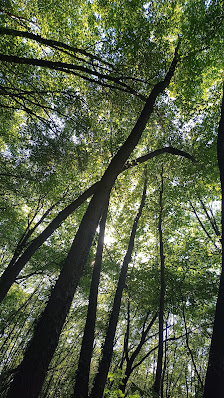 Photo 2 de Parco di Roncolo