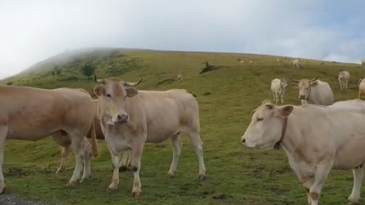 Photo 3 de Col Bagargui