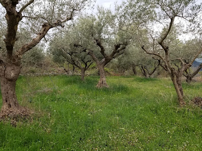 Photo 1 de Valico di Cesapiana