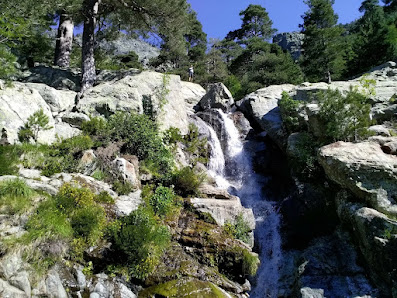Photo 2 de Vivario