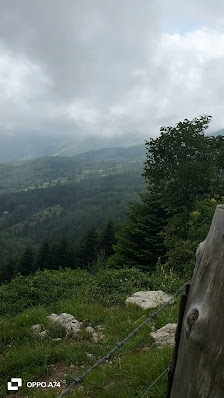 Photo 3 de Passo del Biscia
