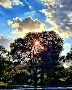 Photo 1 de Cumbres de Valencia