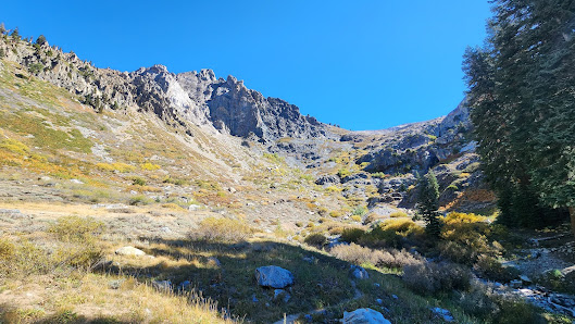 Photo 1 de Mineral King
