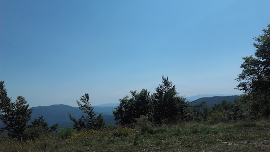 Photo 2 de Passo Del Tomarlo