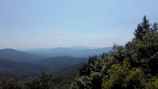 Photo 3 de Passo Del Tomarlo
