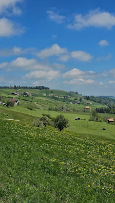 Photo 2 de Col du Rengg