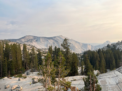 Photo 2 de Tioga Pass