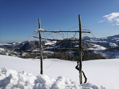 Photo 1 de Monte San Pietro