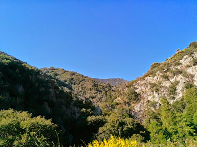 Photo 1 de Angelus Oaks