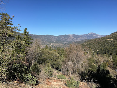 Photo 2 de Angelus Oaks