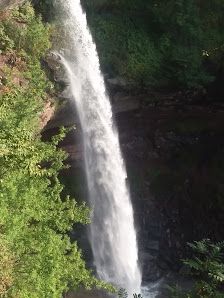Photo 1 de Haines Falls