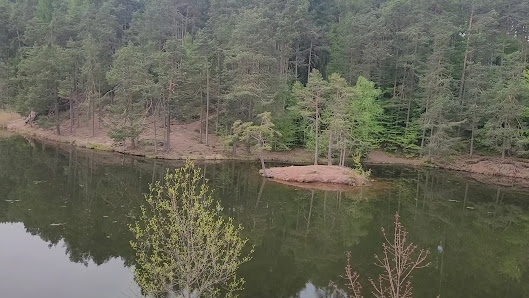 Photo 3 de Lago di Costalovara
