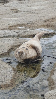 Photo 3 de Ravenscar