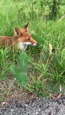 Photo 3 de Prati di Tivo