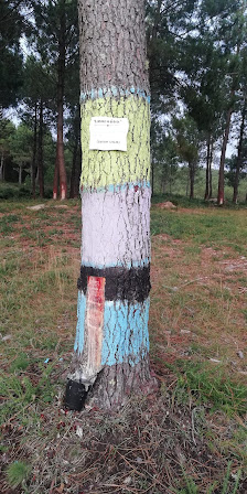 Photo 1 de Montemuíño