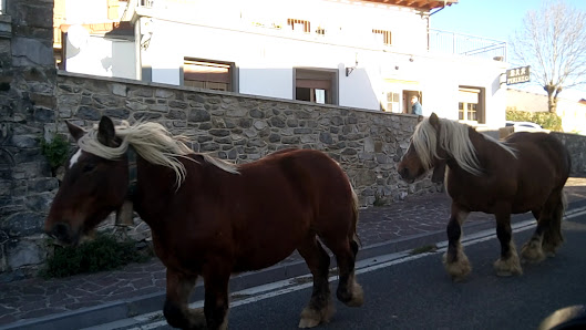 Photo 3 de Alto Abaurregaina