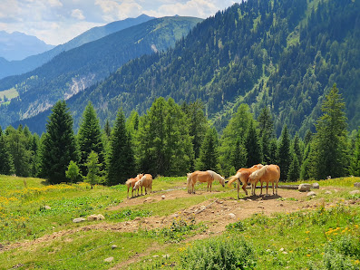 Photo 2 de Passo Castrin