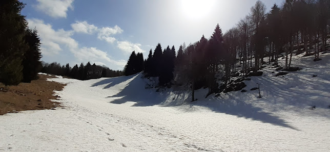 Photo 2 de Passo Crosetta