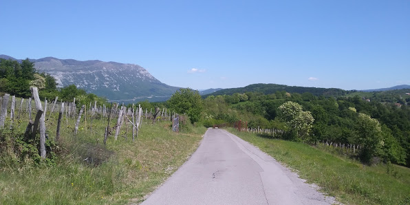 Photo 2 de Vrabče
