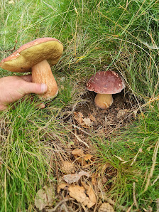 Photo 2 de Coll d'Ares