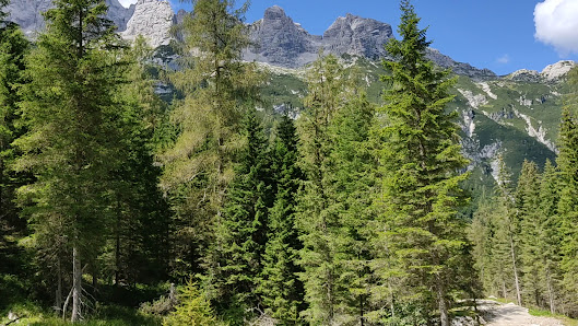 Photo 3 de San Tomaso Agordino