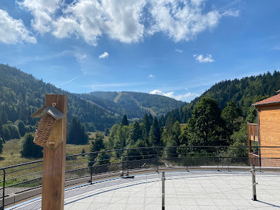 Photo 2 de Col des Feignes sous Vologne