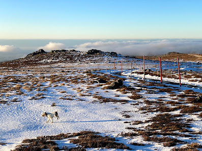 Photo 2 de Col de la Chamboite
