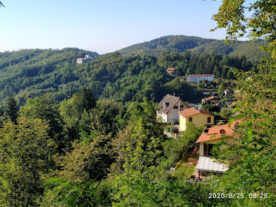 Photo 2 de Prunetta