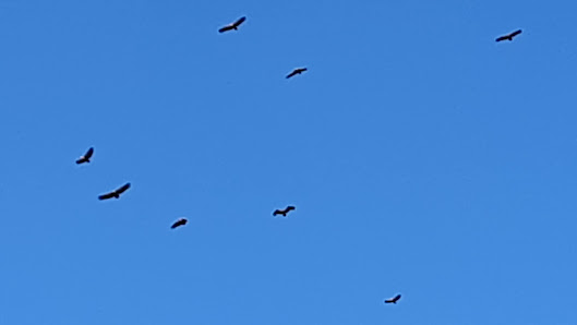 Photo 2 de Col de Laza