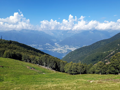 Photo 1 de Alpe di Neggia