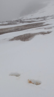 Photo 3 de Abra Ritipata