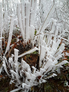 Photo 1 de Hagenfirst