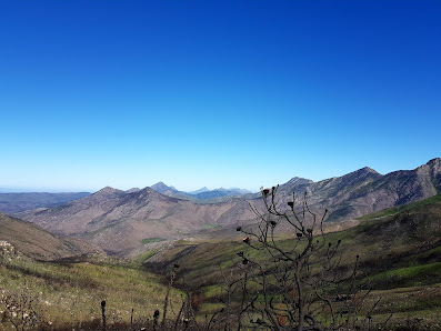Photo 2 de Robinson Pass